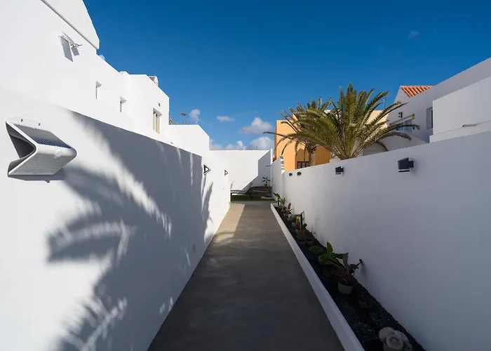 Otono קלטה דה פוסטה